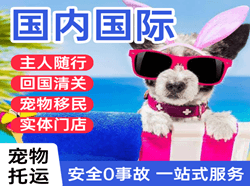 海口美兰机场货运国际宠物托运 【国